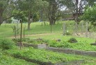 Australia Plainsresidential-landscaping-39.jpg; ?>